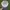 TOPI KANSAN CITY RICHARDISON BUILD UP photo 5