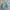 Pink House Casual Denim jacket Pria white blue photo 2