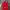 Jasz Couture Beaded Halter Neck Formal/ Prom/Longdress photo 2