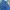 spao overall denim carpenter pants indigo blue photo 8