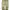 Dickies Double Knee Khaki Size 38x photo 1