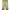 Dickies Double Knee Khaki Size 38x photo 7