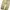 Dickies Double Knee Khaki Size 38x photo 2
