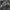 Tnf Urban exploration utility futurelight jacket photo 10