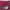 Vintage Pakaian adat Cardigan Pria burgundy photo 7