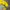 Pancoat Yellow Hoodie with Zip photo 2