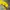 Pancoat Yellow Hoodie With Zip