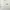 xgirl tshirt photo 2