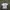 Berning Sho Avant Garde T-shirt Wanita white photo 1