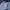 The North Face Sportswear Sweatpants & Joggers Pria navy photo 5