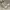 Vintage Streetwear Sneakers Pria cream photo 1