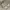 Vintage Streetwear Sneakers Pria Cream