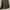 Place Uniform Jacket photo 10