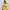 K2 Sportswear Vest Pria navy yellow photo 7