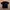 Adlv photo 2