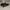 Diadora Skater Sportswear Sneakers Pria black gray photo 1