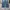 Denim Pants 8 Seconds Baggy photo 3