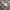 Swiss Military Hanowa Watch photo 5