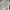 Hoodie Cardinal Basic White photo 5