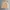 Burberry Brit liner nova check bomber jacket  photo 3