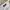 Sportswear Casual T-shirt Pria white photo 5