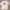 Sportswear Casual T-shirt Pria white photo 1