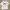 Sportswear Casual T-shirt Pria White
