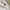 Sportswear Casual T-shirt Pria white photo 4