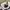 Canterbury Sportswear Sweatshirt Pria white navy photo 5