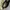 SKECHERS STAMINA CUTBACK SHOES photo 7