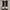 Converse Chuck Taylor All Star With Platform Zebra  photo 3