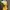 out from under yellow body suit photo 2