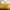 out from under yellow body suit photo 3