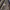 Vintage Casual Formal shirt Pria navy cream photo 5