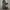 Leather Boots photo 4