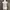 white lacey bust tank top  photo 3