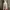white floral vintage skirt  photo 1