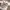 Le Coq Sportif Vintage Y2K T-shirt Pria white photo 2