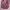kaos anime zero two photo 1