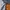 Winbreaker jacket nikee small wosh photo 5