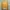 Minimalist Sweater Wanita yellow photo 1