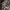 jaket outdoor hoodie dc Basic camo reverse photo 1