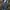 JIGGYGEN FADINGG GACORR TIMBULL🤩 photo 4
