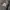 carhartt d89 backpack taindefender photo 3