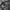 carhartt d89 backpack taindefender photo 4