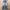 Faded Blue Levi's 517 Boot cut Jeans photo 1