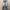Faded Blue Levi's 517 Boot Cut Jeans