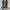 Vans Skate Sk8-Low photo 10