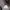 Santa Cruz Skateboards Skater Brief Pria silver photo 5