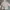 Giordano light pink hooded longsleeve shirt photo 1